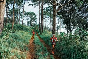 BIB: 
                            <button type="button" onclick="openModal(25652495)" class="btn btn-primary btn-sm float-right btn-popup" data-toggle="modal" data-target=".modal-high-quality">
                        <i class="fas fa-shopping-cart"></i> Add to Cart
                    </button>
                                            <button type="button" onclick="isThisMe(25652495, true)" class="btn btn-success btn-sm float-right btn-popup btn-isme hidden" data-toggle="tooltip" data-placement="bottom" title="นี่คือรูปของคุณใช่ไหม คลิกที่นี่เพื่อเอาเข้าอัลบั้ม">
                        <i class="fas fa-plus"></i> Add to album
                    </button>
                    <button type="button" onclick="isThisMe(25652495, false)" class="btn btn-warning btn-sm float-right btn-popup btn-isnotme hidden">
                        <i class="fas fa-ban"></i> Remove from album
                    </button>